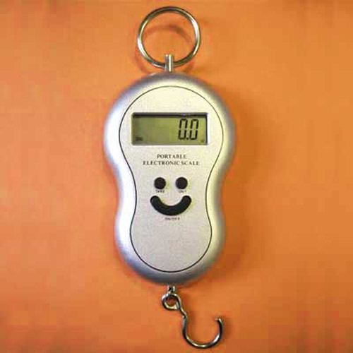 Portable Accurate Digital Scales to 40kg / 88lbs Load - Silver